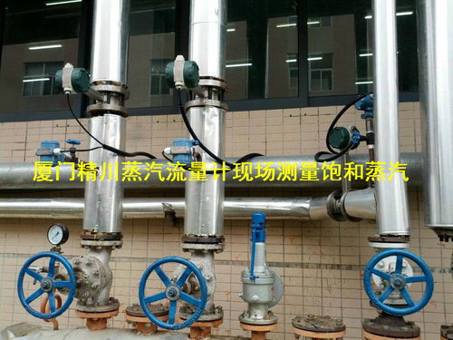 廈門精川與大型豆制品公司成功簽訂多套蒸汽流量計(jì)項(xiàng)目，助力電子軟硬件研發(fā)升級